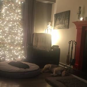 Meet your Posher, Connie